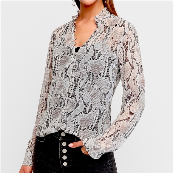 Express shirt - Picture 1 of 8